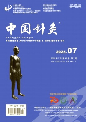中国针灸杂志